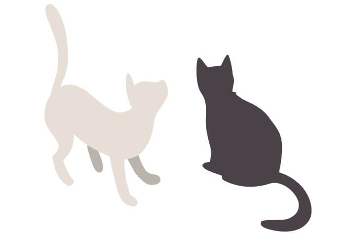 黒猫おじさんに寄っていくテンちゃん